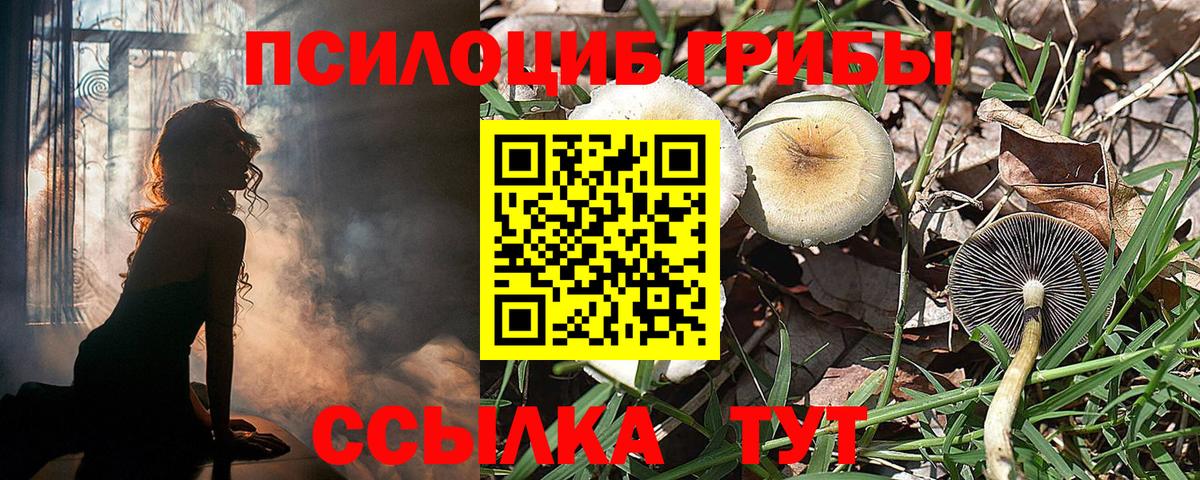 Псилоцибиновые грибы Cubensis  Вход с VPN  Тольятти 